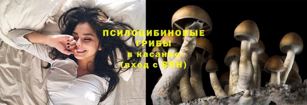 кокаин премиум Ельня