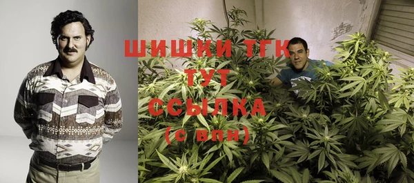 ALPHA PVP Елизово
