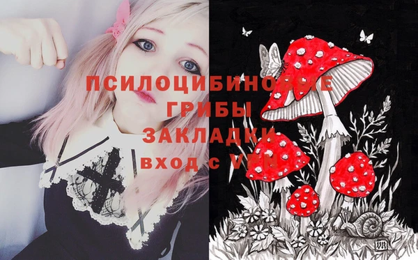 кокаин премиум Ельня