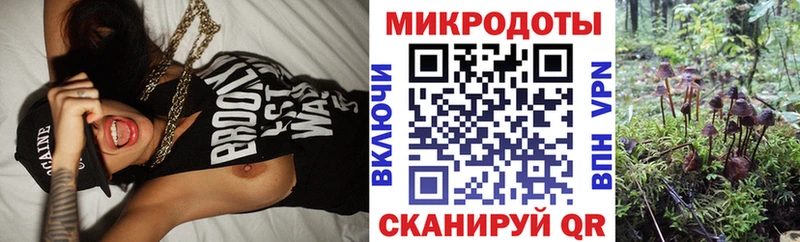 Псилоцибиновые грибы GOLDEN TEACHER  Купить где  Козельск 
