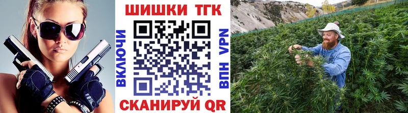 Бошки Шишки гибрид  Купить закладки  Козельск 